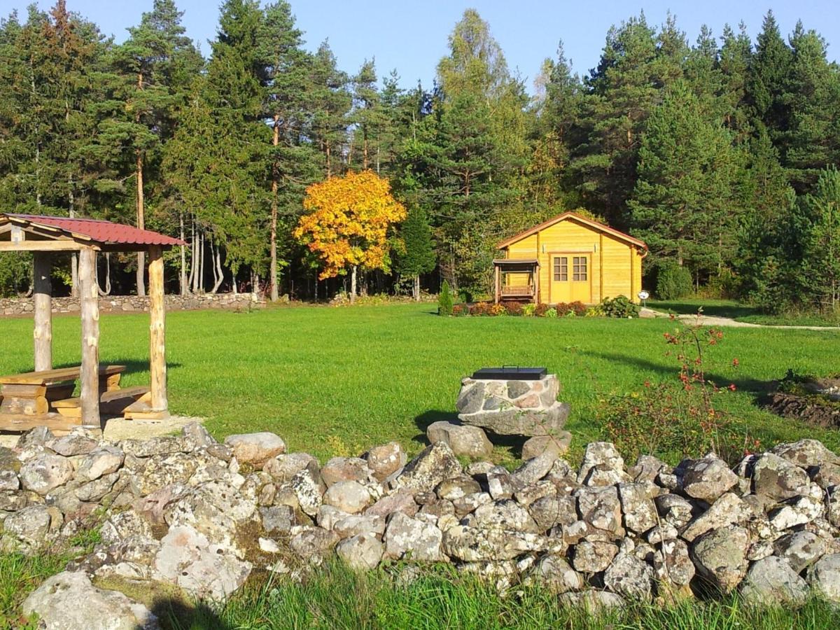 Männiste Holiday Home Hiievalja Zimmer foto